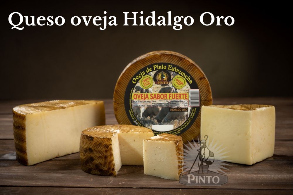 Bodegón queso oveja viejo Hidalgo Oro 